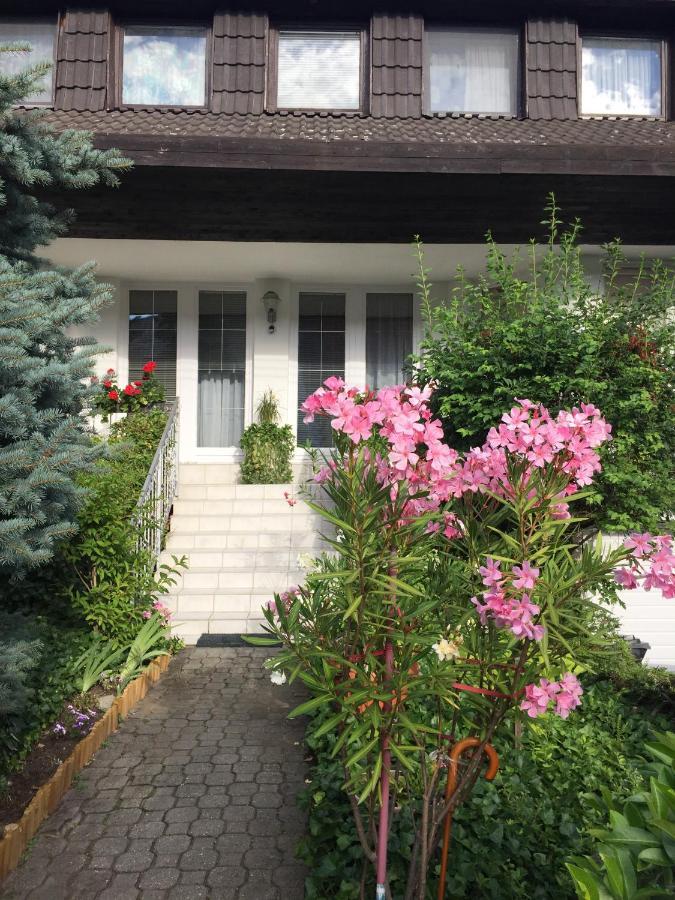 Anna Vendeghaz Eger Apartment Exterior foto